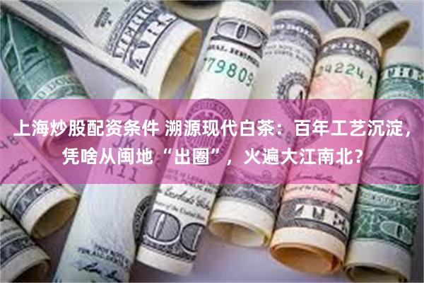 上海炒股配资条件 溯源现代白茶：百年工艺沉淀，凭啥从闽地 “出圈”，火遍大江南北？