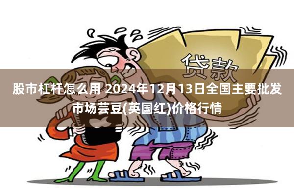 股市杠杆怎么用 2024年12月13日全国主要批发市场芸豆(英国红)价格行情