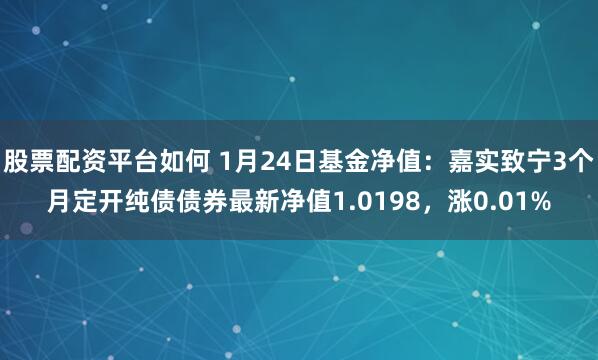 股票配资平台如何 1月24日基金净值：嘉实致宁3个月定开纯债债券最新净值1.0198，涨0.01%