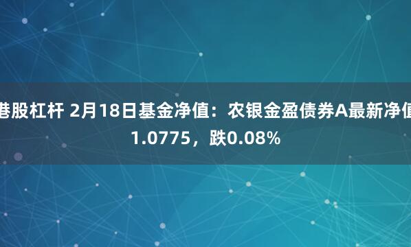 港股杠杆 2月18日基金净值：农银金盈债券A最新净值1.0775，跌0.08%