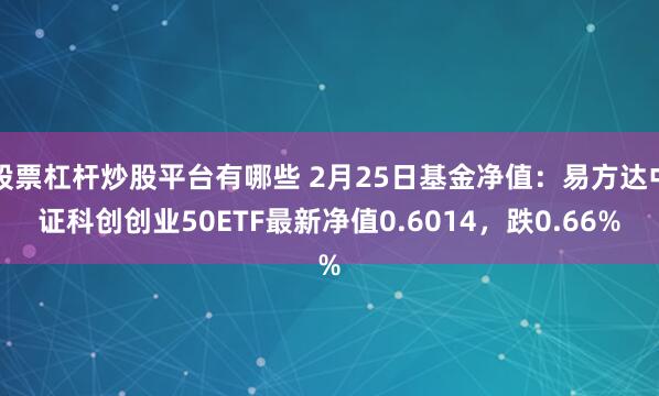 股票杠杆炒股平台有哪些 2月25日基金净值：易方达中证科创创业50ETF最新净值0.6014，跌0.66%