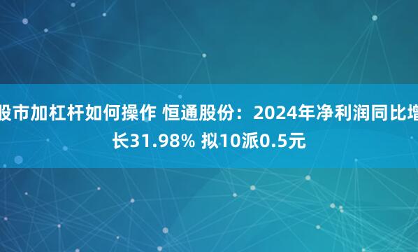 股市加杠杆如何操作 恒通股份：2024年净利润同比增长31.98% 拟10派0.5元